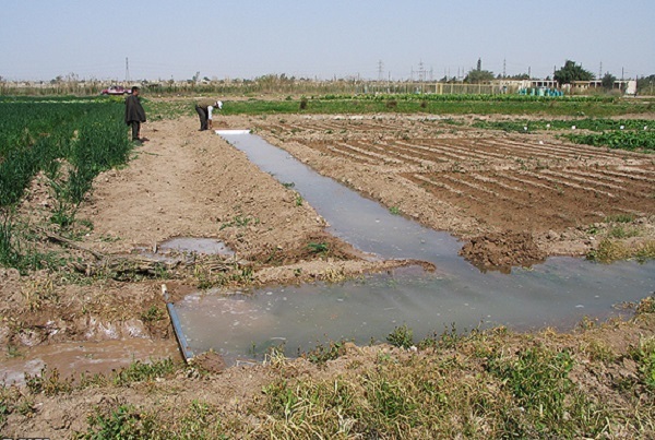 اثر موقت بارندگی‌ها بر اراضی کشاورزی/مشکل آب همچنان پابرجا است