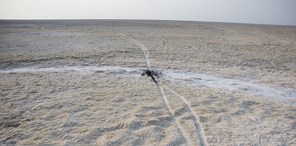 درخواست تامین 600 میلیون مترمکعب آب برای آبرسانی به کانون‌های ریزگرد خوزستان