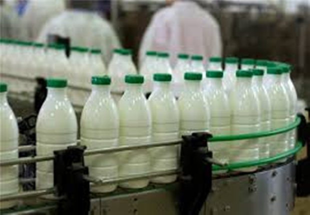 شیر از نظر کمی و کیفی در استان قزوین بهترین شرایط را دارد