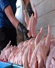 علت افزایش قیمت مرغ در بازار خوزستان چیست؟