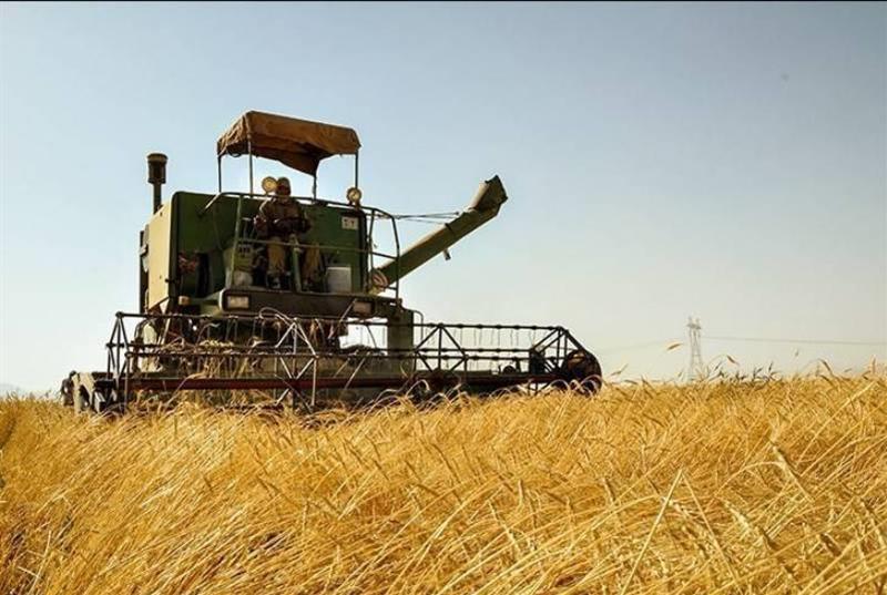 پیش بینی خرید ۵۰ هزار تن گندم از کشاورزان هندیجانی