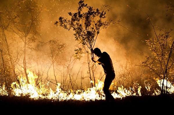 وسعت آتش‌سوزی جنگل‌های خوزستان در سال 97 بیشتر خواهد بود